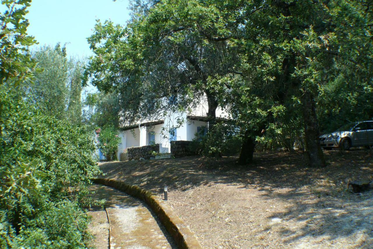 Alexandra villas Gouvia Exteriör bild